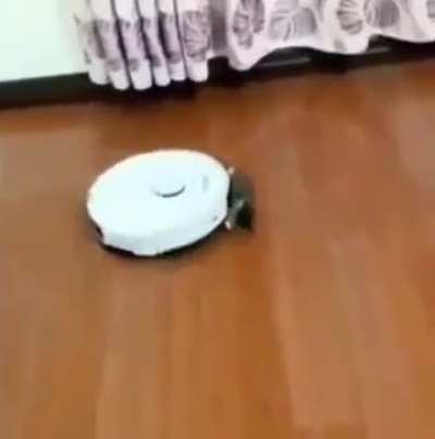 Rip