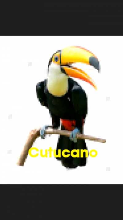 Aleloia