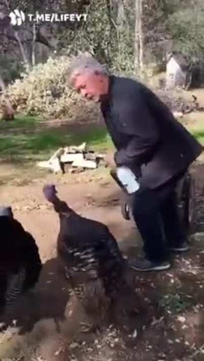 Turkey jerk is annoying a worker