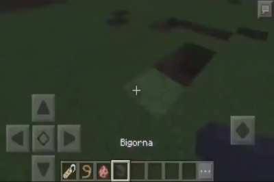 Titulo