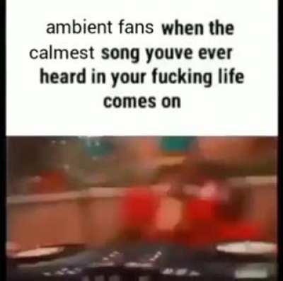 this shit slaps
