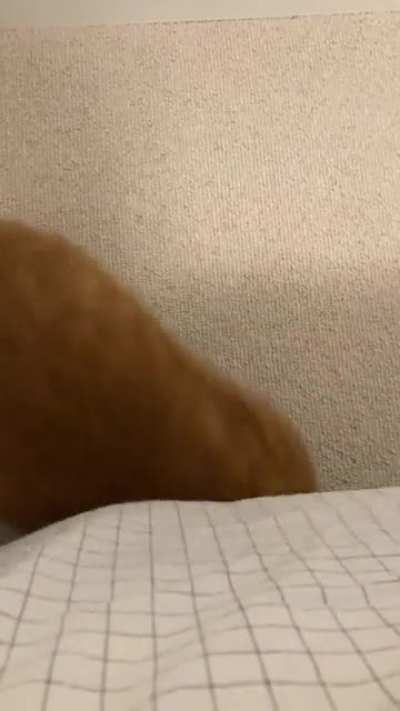 Monster that lives under my bed