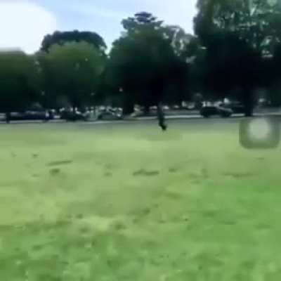 A man set himself on fire near the White House on Wednesday.