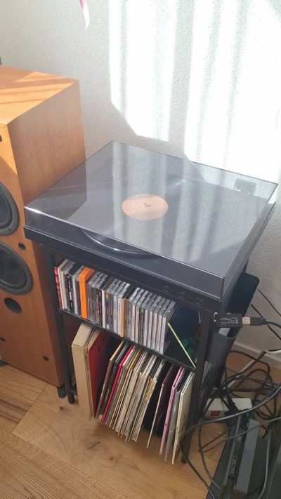 does anyone else's DJTD vinyl do this...?
