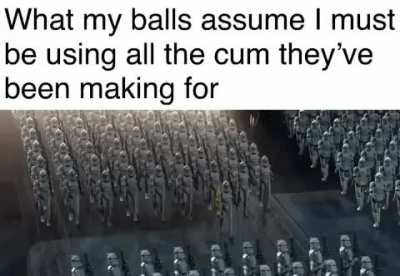 Magnificent, aren’t they?