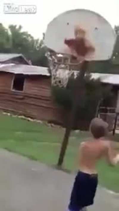 the air donald eights