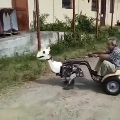 Blursed chariots