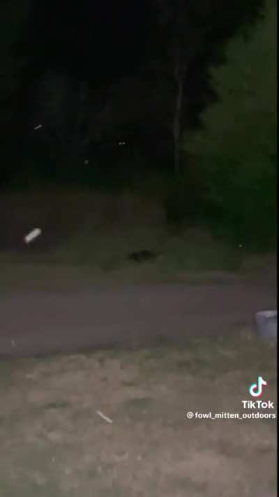 SKINWALKER STALKS ME