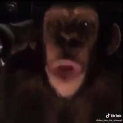 Idk if this has already been posted