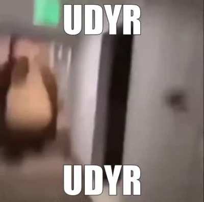 UDYR