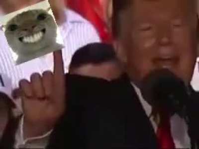 Um meme aleatorio