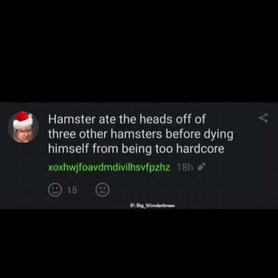hamster rule