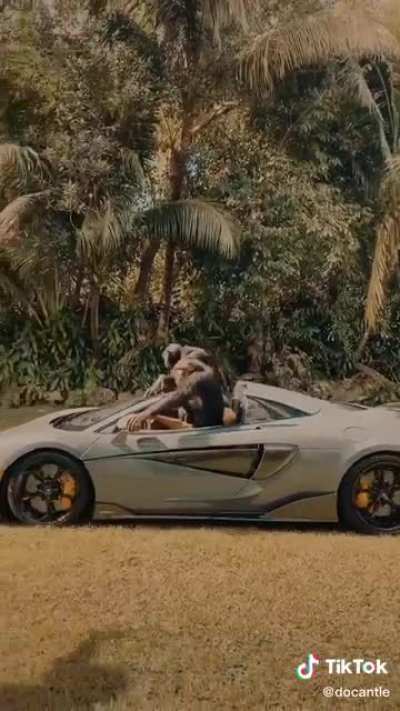 ThUgGiN mOnKeS🤌💵