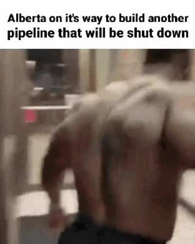 Maybe this time
