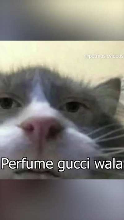 thak gaya hu suicide posts dekh dekh ke