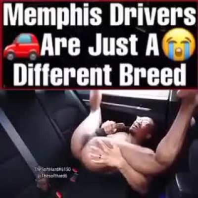 Memphis Drivers 🚗 are just a different breed 😭