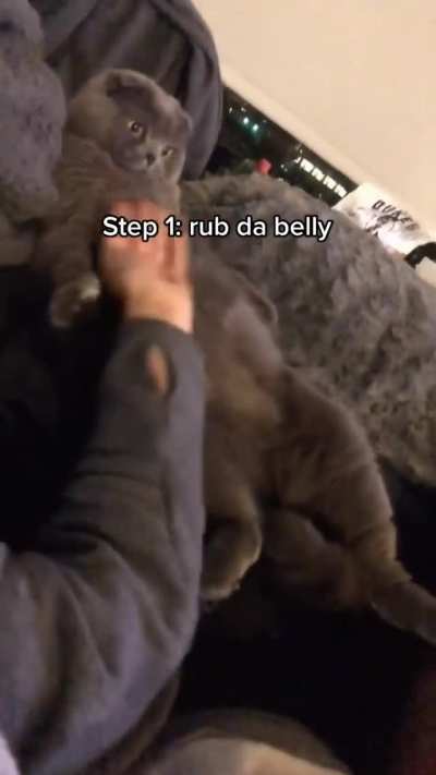 A sleepy boi
