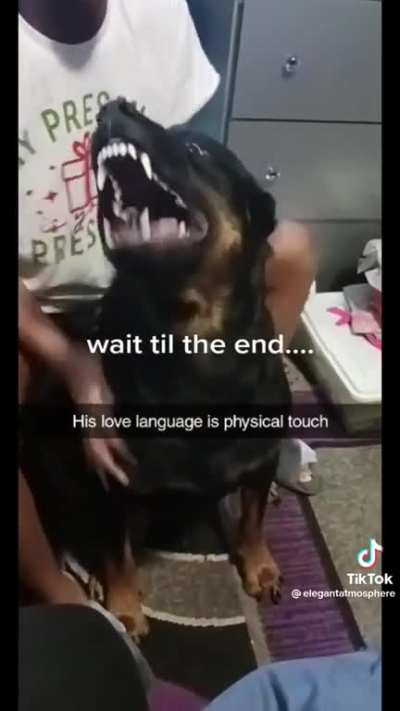 He loves scratches