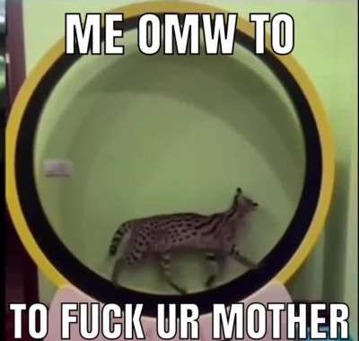 ur mom