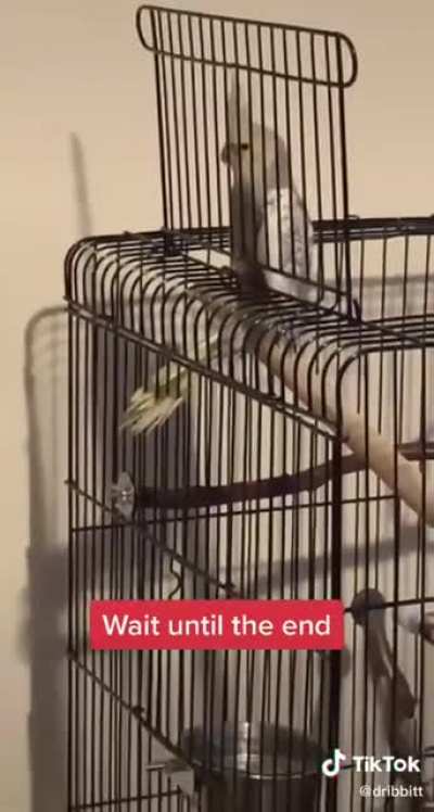 Sorry if this has been posted already. Original video from @dribbitt