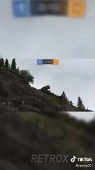 AO AO Æ