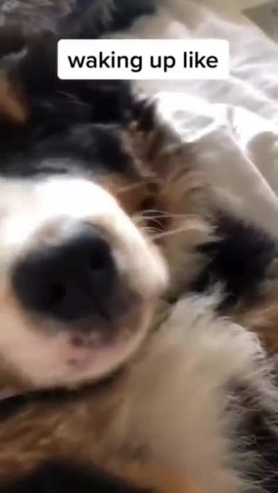 Waking up like