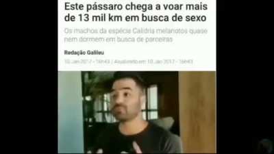 Igualzinho a aleatóriomente