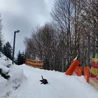Dog testing this toboggan run in Austria (copyright Naturhotel-Forsthofgut)