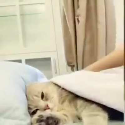 ( ͡° ͜ʖ ͡°)