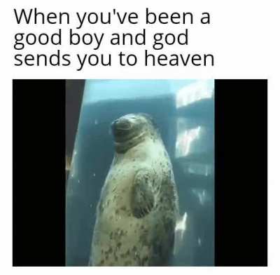 I've been a good boy