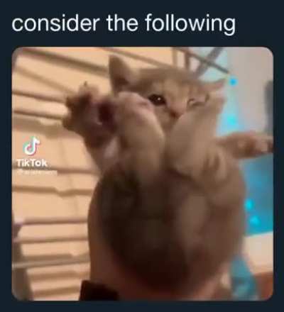 Consider