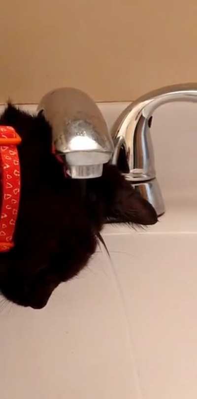 Got Shampoo..?