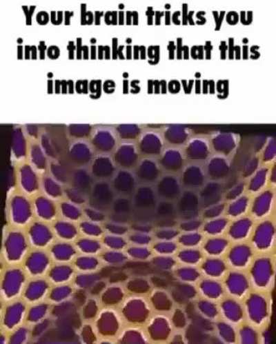 Whoa buddy 😳