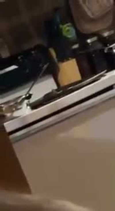 King shit