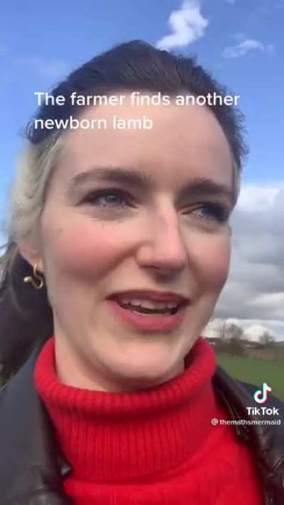 Lamb adoptions