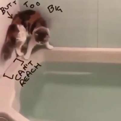 Bad judgement call