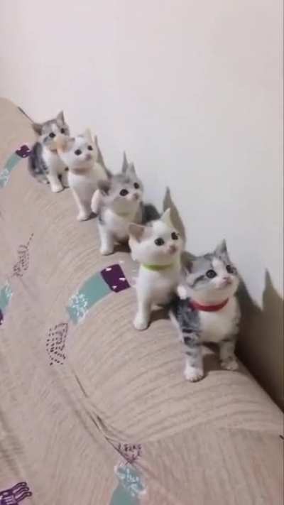 I can watch them all day long...