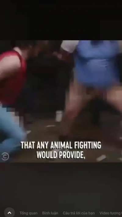 COCK FIGHT