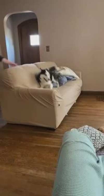 The floor is lava