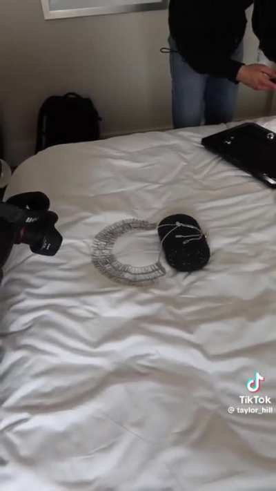 Cannes TikTok II