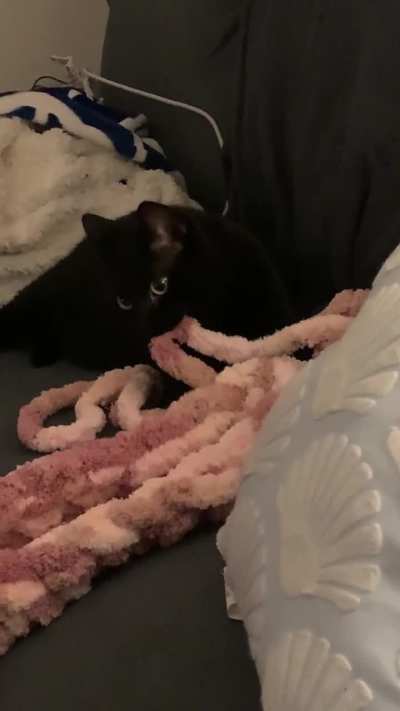 He has claimed my crochet project