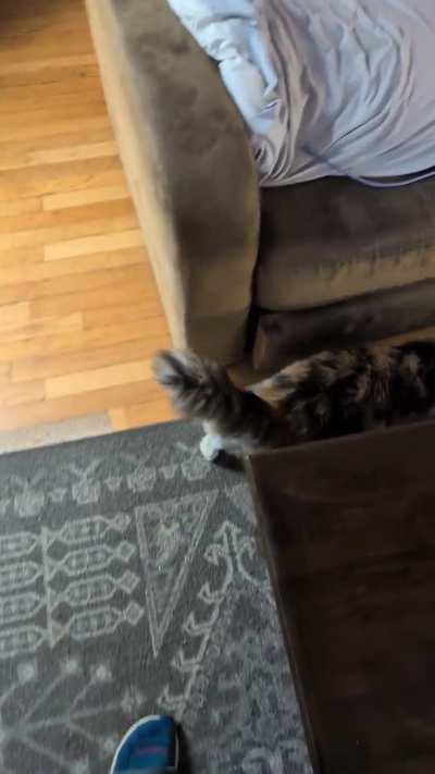 Skittles says hello