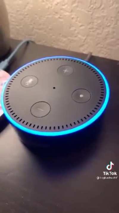 Alexa has reached new heights