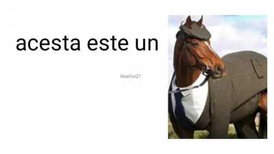 acesta este un marcel