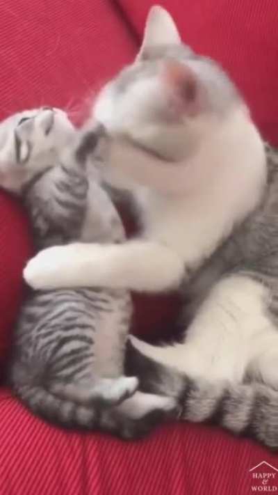 Mom, stop kissing.