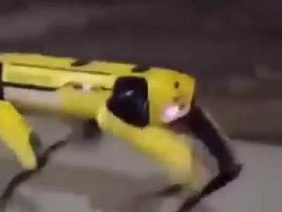Keşke benimde böyle robotum olsa