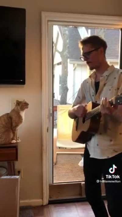 Cat To The Bone