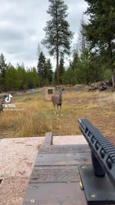 Deer’s fighting through some demons.
