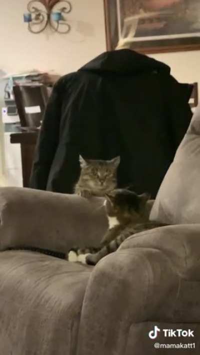 Miscatculated
