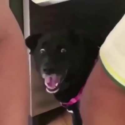Face says it all